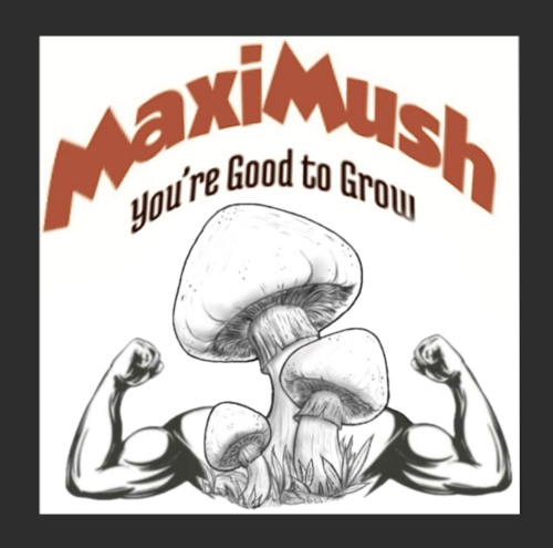 Maximush.com